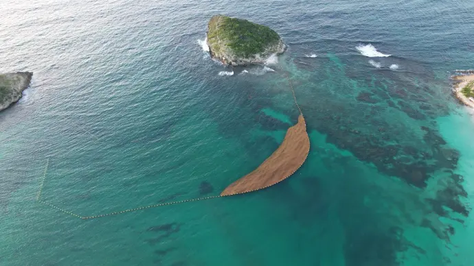 Filetdrom Sargasses mer